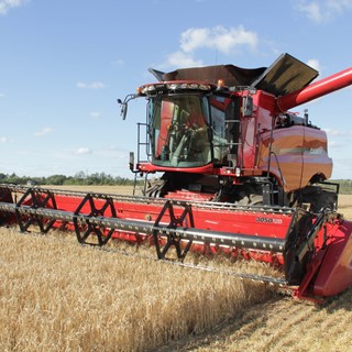 Axial Flow working in wheat