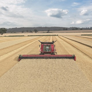 Varicut header in wheat