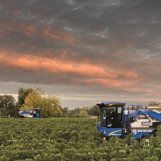 New Holland Launches New Grape Harvester Braud Compact Range for the Intermediate & Large Row spacing Vineyard Segments