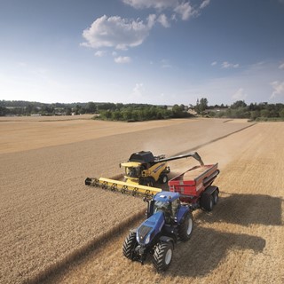 New Holland CX 8090 Elevation Combine Harvester in the Field