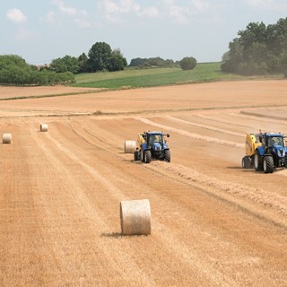 New Holland Roll-Belt™ 180 with the New ActiveSweep™ option baling straw