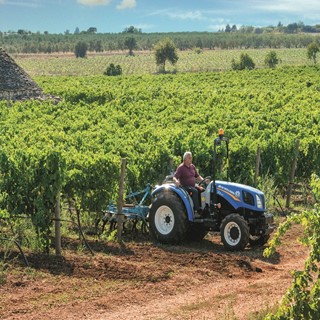 T3.75F Tractor's dimensions mean it can easily pass through narrow orchard and vineyard areas