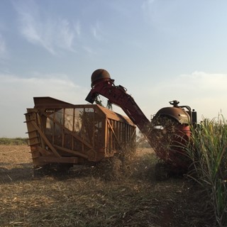 Driving Africa’s Growth: SOMDIAA Chooses CASE IH for its Cameroon Sugar Cane Plantations
