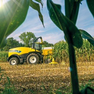 The New Holland FR780 working in maize