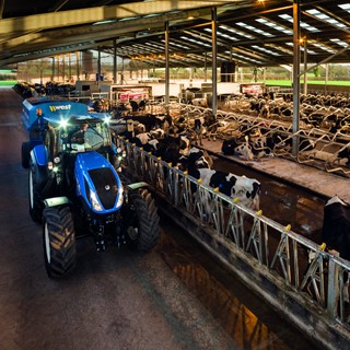 T6.155 Tier4B feeding cattle