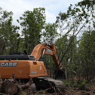 South Carolina company converts 1,900 acres into farmland with the help of CASE excavators, dozers.