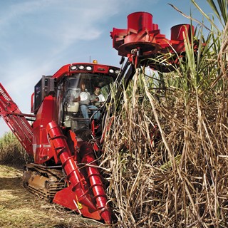 Case IH A8800 Sugarcane Harvester in Brazil