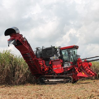 Case IH Austoft® 8800 sugarcane harvester at work in the field
