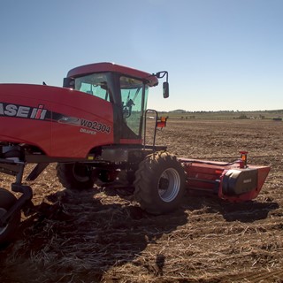 Case IH introduces WD4 series windrowers