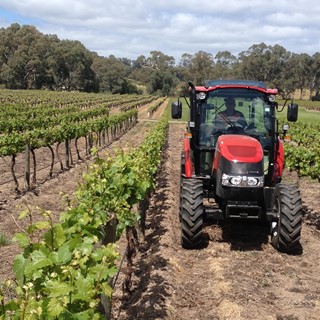 Farmall C working in a vineyard