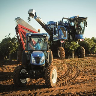 New Holland's Braud 9090X harvested 197.6 tonnes of destemmed grapes in just 8 hours