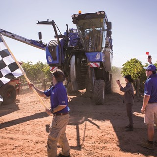 New Holland sets new benchmark in Grape Harvesting performance: 197.6 tonnes of grapes harvested in just 8 hours