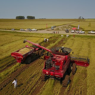 Case IH realiza pruebas de las Cosechadoras Axial-Flow Serie 130 arroceras