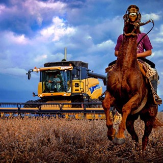 Comienza el 13º Premio New Holland de Fotoperiodismo