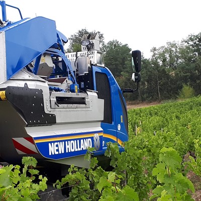 New Holland launches the new Combi-Grape sorting system