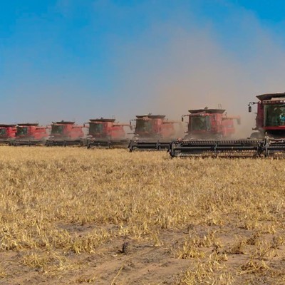 La potencia de Case IH, firme en los campos argentinos