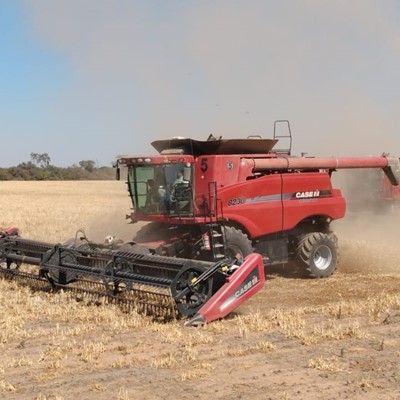 La potencia de Case IH, firme en los campos argentinos