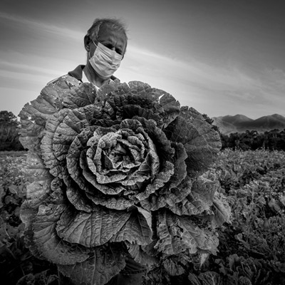 New Holland presenta a los ganadores del Premio de Fotoperiodismo