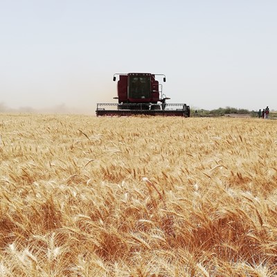 CASE-IH_Demo Day Sudan_Axial Flow 4088 in Field