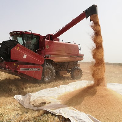 CASE-IH_Demo Day Sudan_Axial Flow 4088_Presentation