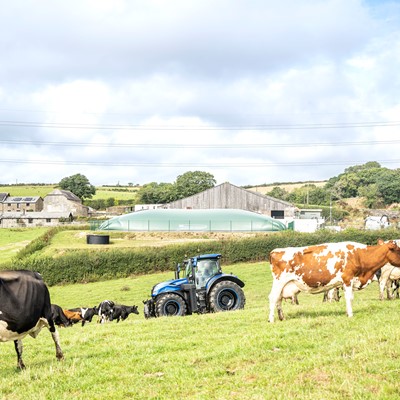 Fazenda Trenance Cornwall