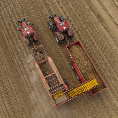 case ih at potato europe fair 3