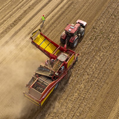 case ih at potato europe fair 1