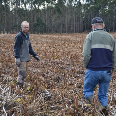 New Holland aporta tecnolog a y sustentabilidad al agro chileno