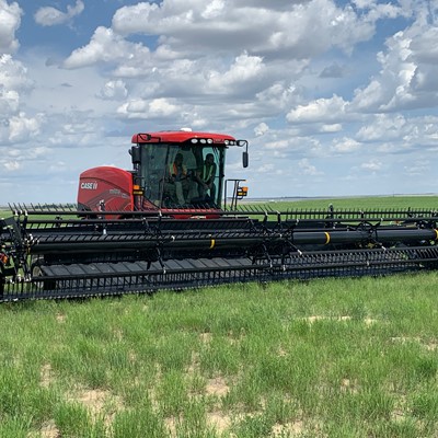 Case IH WD5 Series Windrower with Honey Bee WSC Draper Heads