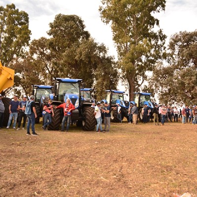 La productividad de New Holland presente en los campos argentinos