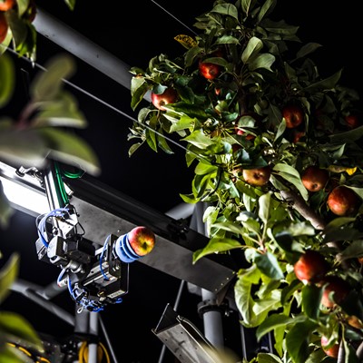 An advanced robot gently picks an apple off the tree