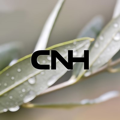 Redesign CNH Logo