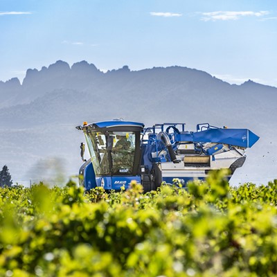 New Holland Braud compact grape harvesters