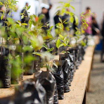 Estufa do projeto Cultivando Cidadania em Ponta Grossa