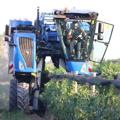 New Holland y el Grupo Fecovita impulsan la producción vitivinícola