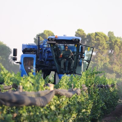 New Holland y el Grupo Fecovita impulsan la producción vitivinícola