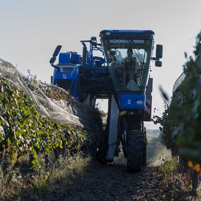 New Holland y el Grupo Fecovita impulsan la producción vitivinícola