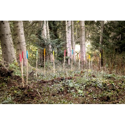 STEYR TRAKTOREN AND AGDW PARTNER TO CULTIVATE CLIMATE AWARENESS IN CHILDREN THROUGH FORESTRY INITIATIVE