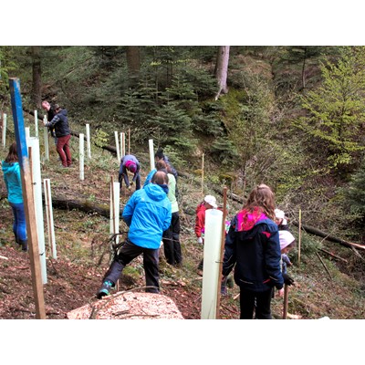 STEYR TRAKTOREN AND AGDW PARTNER TO CULTIVATE CLIMATE AWARENESS IN CHILDREN THROUGH FORESTRY INITIATIVE