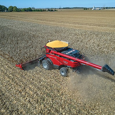 A red Case IH combine harvester is actively harvesting a large golden cornfield under a clear blue sky, with harvested corn visible in the machine's grain tank and dust rising from the cutting area.