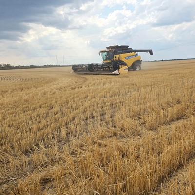 De la mano de Roberto Mario Polentarutti y su CR 7 90 arranc la cosecha en el norte argentino