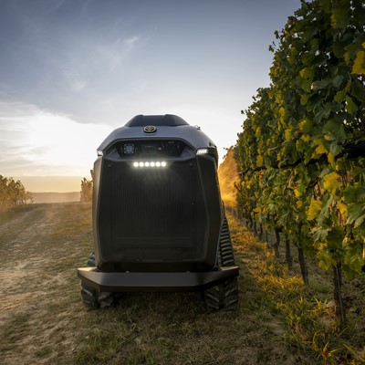Autonomous agricultural robot with headlights on, navigating between rows of grapevines in a vineyard at sunset, showcasing advanced farming technology.