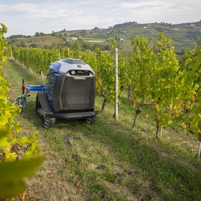 Autonomous agricultural robot navigating between rows of grapevines in a vineyard with rolling hills in the background under a cloudy sky.