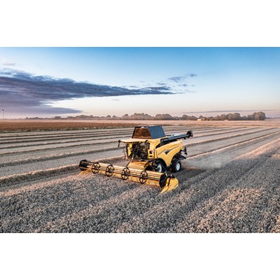 A yellow combine harvester working in a vast wheat field during early morning or late afternoon, harvesting rows of ripe wheat under a partly cloudy sky with a distant tree line on the horizon.