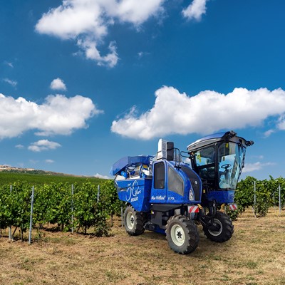 Braud 50th Anniversary Special Wrap