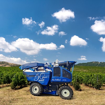 Braud 50th Anniversary Special Wrap