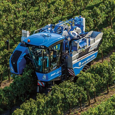 A blue New Holland Braud grape harvester machine operating in a vineyard, moving between rows of green grapevines during harvest season.