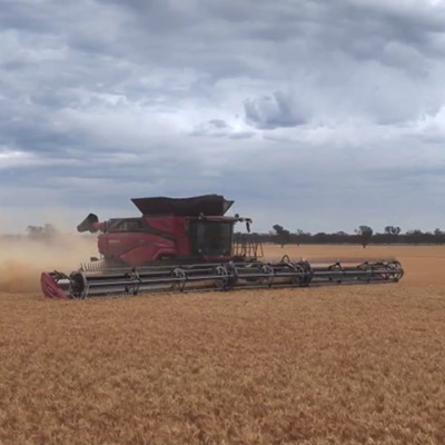 New Case IH combine series shines during demanding harvest with impressive levels of performance and efficiency