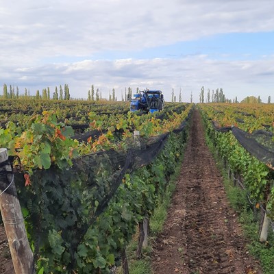 Catena Zapata potencia la vitivinicultura argentina junto a New Holland