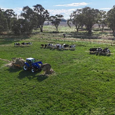 Tracing tractor tech across generations from a heritage Ford 2000 Offset to fuel efficient New Holland workhorses